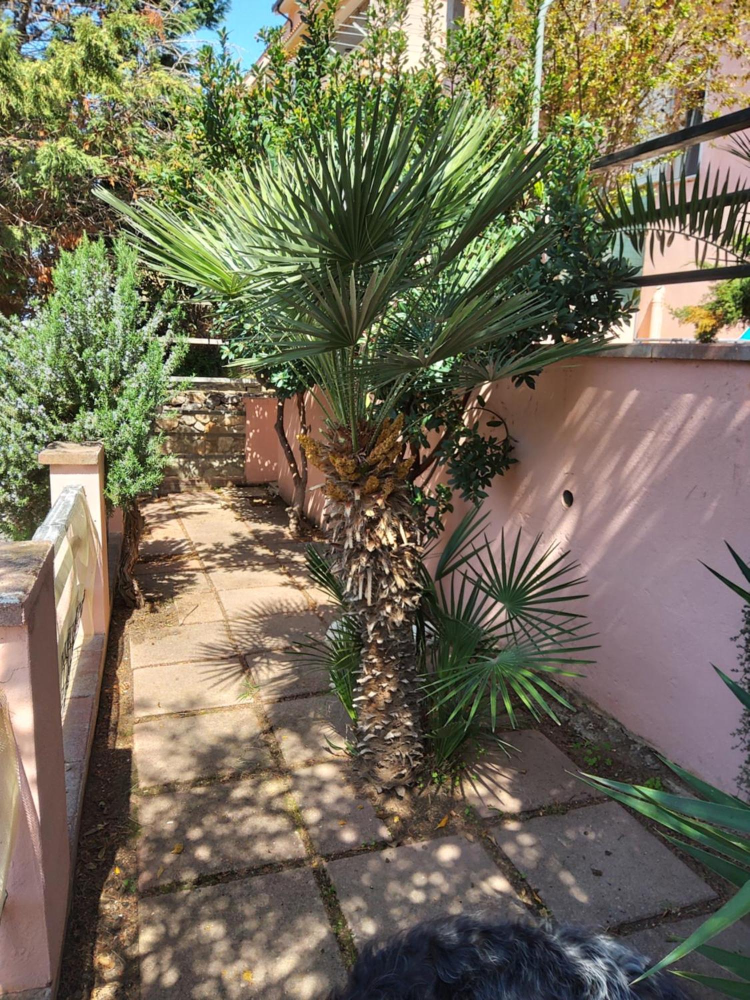 Casa Rosa I.U.N Q9637 Apartman Buggerru Kültér fotó